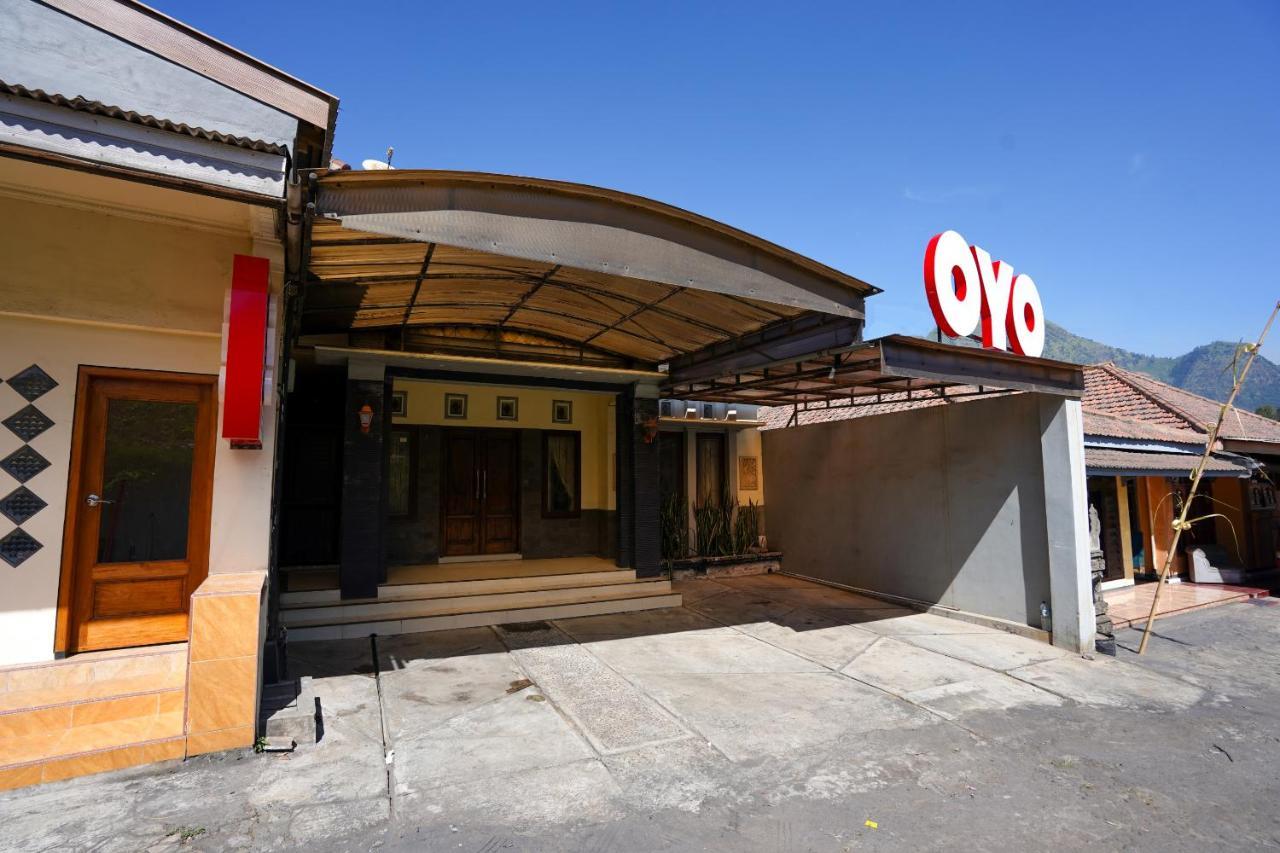 Oyo 1087 Homestay Potato House Bromo Eksteriør bilde