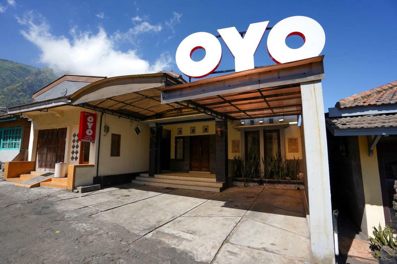 Oyo 1087 Homestay Potato House Bromo Eksteriør bilde